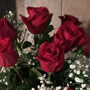 Meet your Posher, Darcy